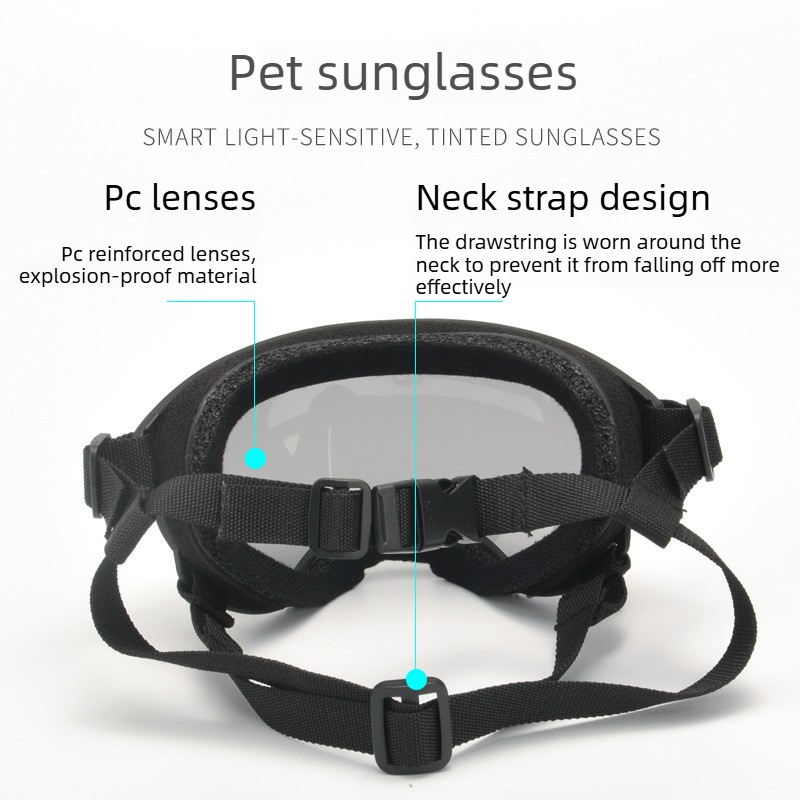 애완 동물 고글 바람 모래 UV 보호 선글라스 개 야외 - Travel Accessories Ideas 리뷰 및 가격